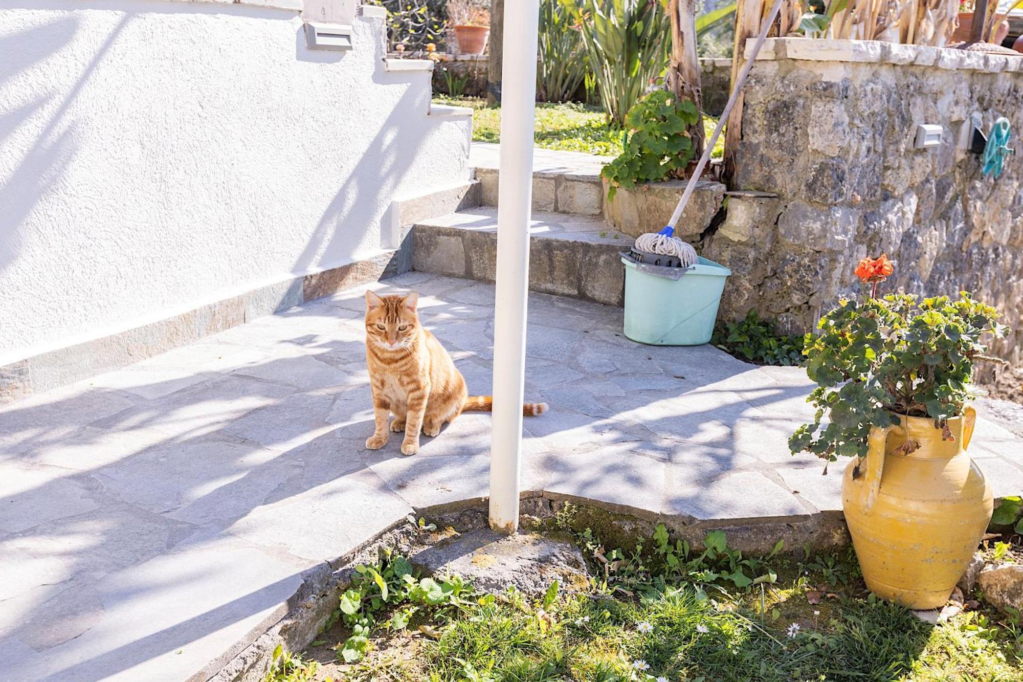Ad Homes Agios Gordios  Bagian luar foto